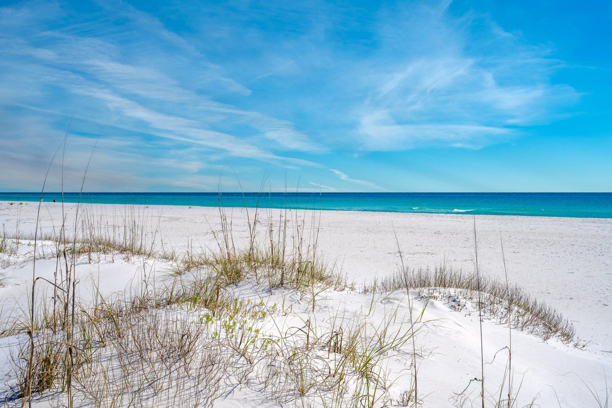 Sea oats and turquoise Gulf water